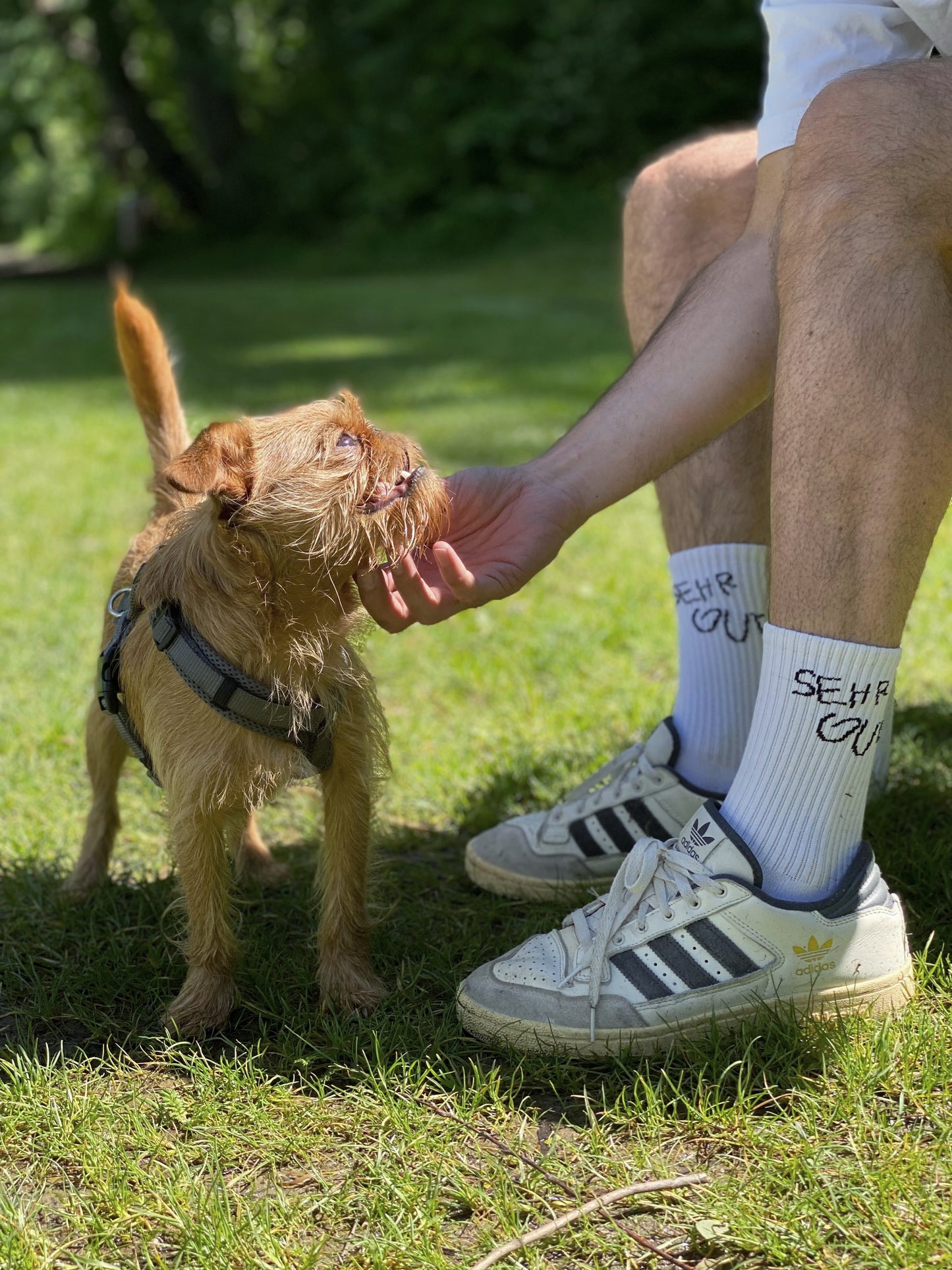 sehr gute socken | bio baumwolle